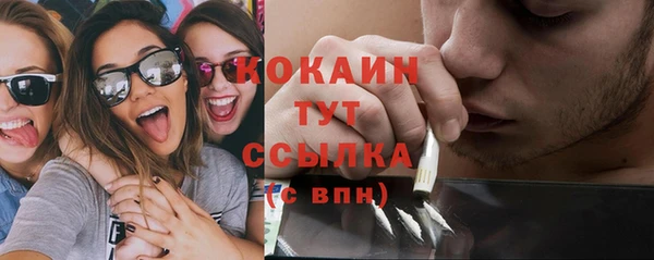 твердый Аркадак