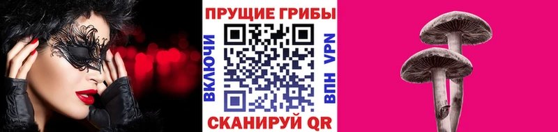 маркетплейс телеграм  Ленинск  Галлюциногенные грибы Cubensis 